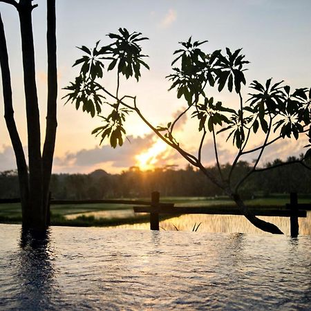 Omah Apik Ubud Exterior foto