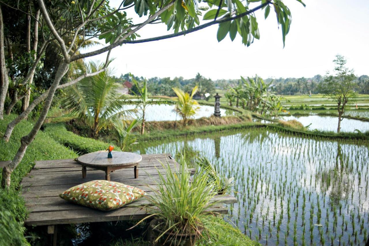 Omah Apik Ubud Exterior foto