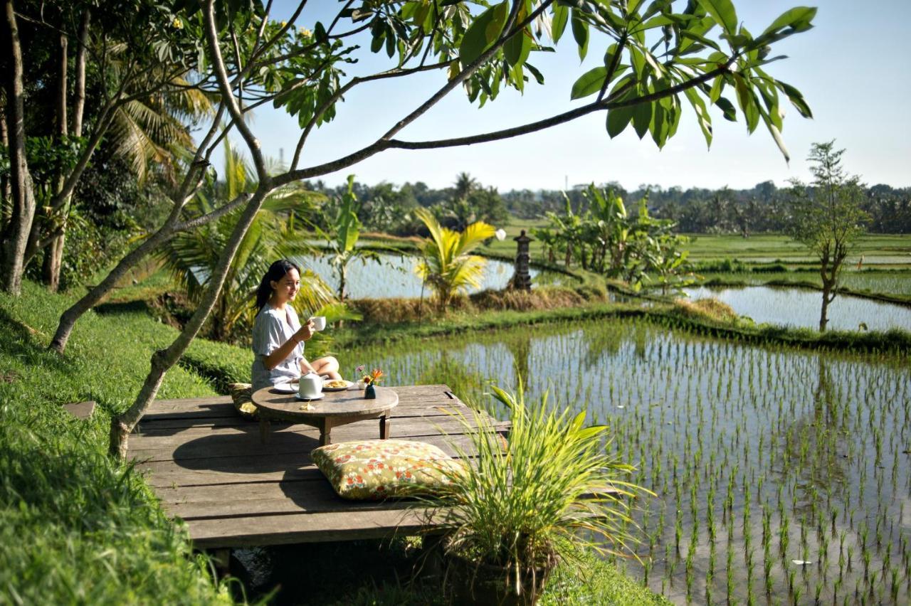 Omah Apik Ubud Exterior foto